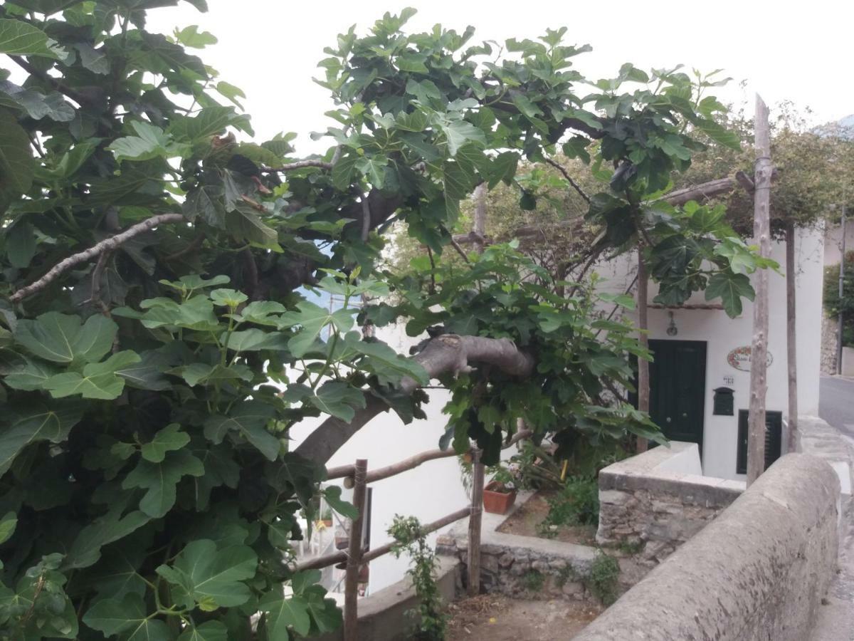 Casa Rosetta Villa Praiano Exteriör bild